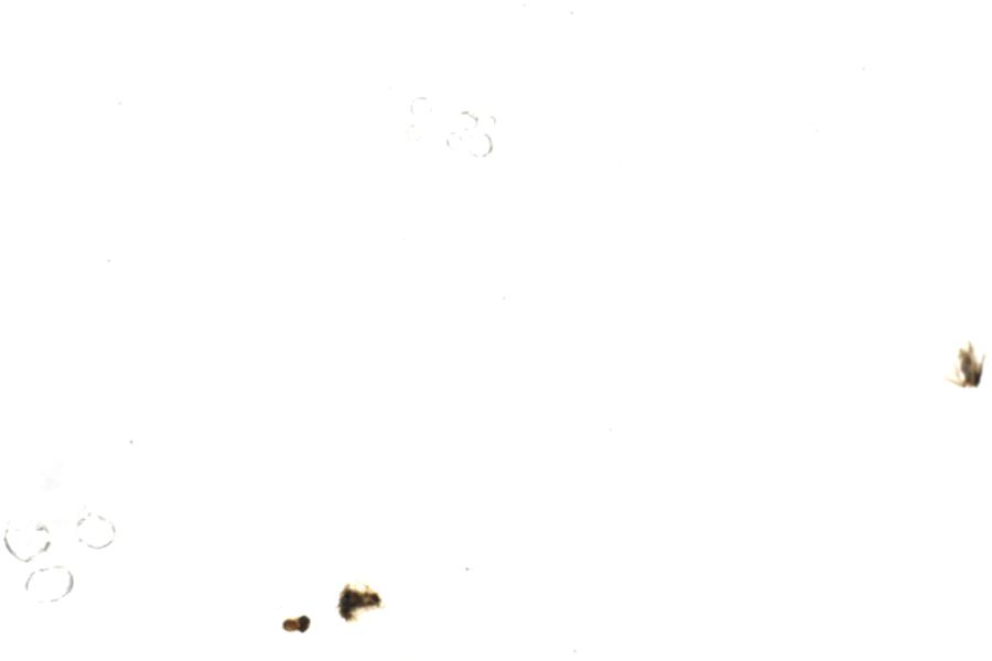 Image 104